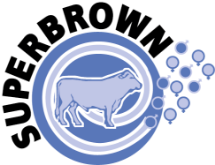 Superbrown