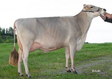 alder-s-optimal-trisha-ch-120-1518-5716-1