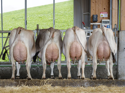 16-08-2021-panorama-volgger-4-arrow