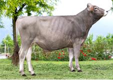 20-05-2025-toro-colin