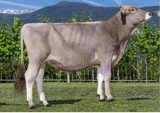 30-05-2025-toro-coleman