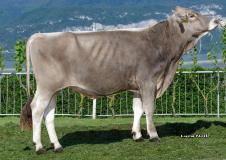 08-05-2018-toro-argon