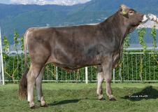 08-05-2018-toro-nantwin