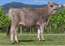 30-05-2025-toro-bali