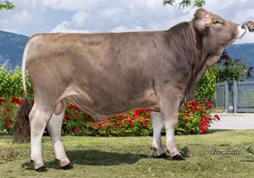 07-06-2023-toro-ungar-ob