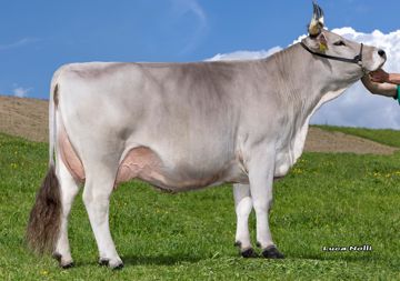 10-05-2024-it021002496227-paris-uran-vicky