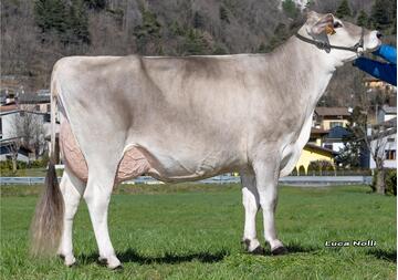 ionio-zakman-mutter-von-dangerstar