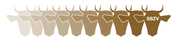 logo-braunvieh-ohne-schrift