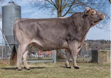 11-03-2025-bulle-vallejo-pp