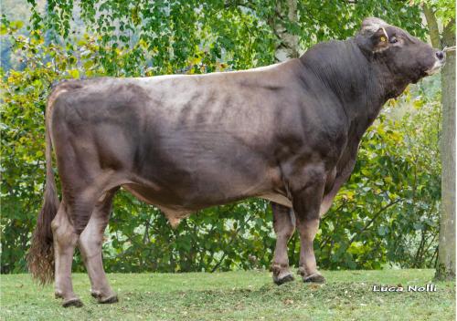 2016-09-15-toro-janet