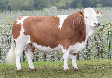 14-04-2026-toro-miralago