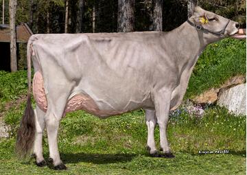 22-05-2023-it021002421739-braunhofer-pete-nadda-l