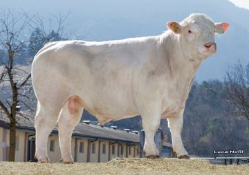 22-03-2022-toro-roland