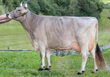04-09-2023-it021002327738-breitenberger-lorento-elfi