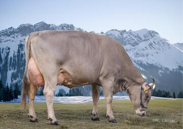 sg0108620-melodie-ch-120-1590-6899-6-morin