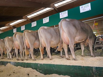 dscf1774-syntec-gruppe