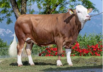26-05-2026-toro-wenberg